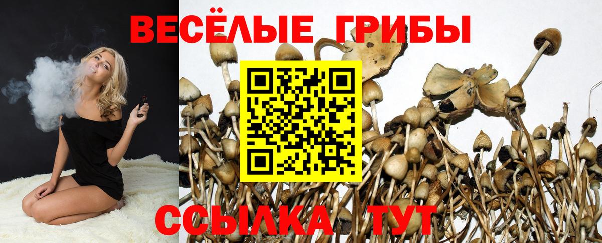 Псилоцибиновые грибы ЛСД  Вход с VPN  Кунгур 